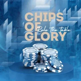 스포츠 플랫폼 추천